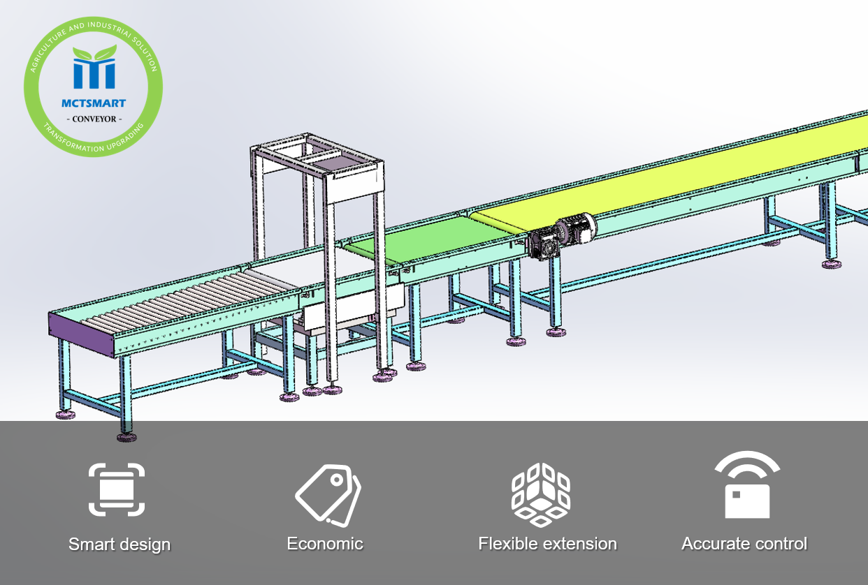 Dynamic Weighing System Specifications - 100kg Capacity with IP54 Protection